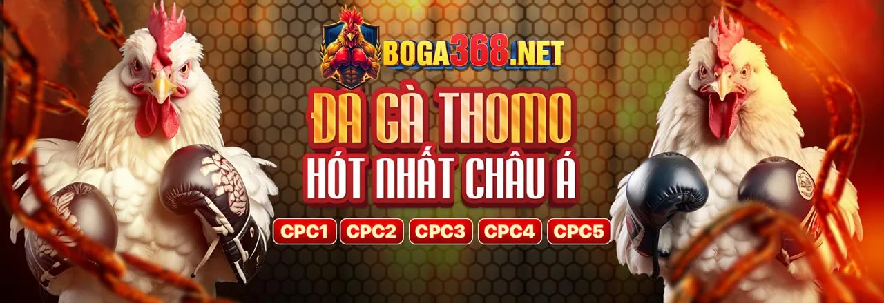 Sân vận động lớn với màn hình hiển thị tỷ lệ cược kimsport